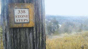 Branson’s Unique Lakeside Forest Wilderness Area Wilderness Forest Area Stone Steps 300x169 - Branson’s Unique Lakeside Forest Wilderness Area