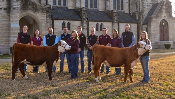 191114 C of O Beef Sale Students 600x338 - C of O holding one of a kind Registered Hereford Sale
